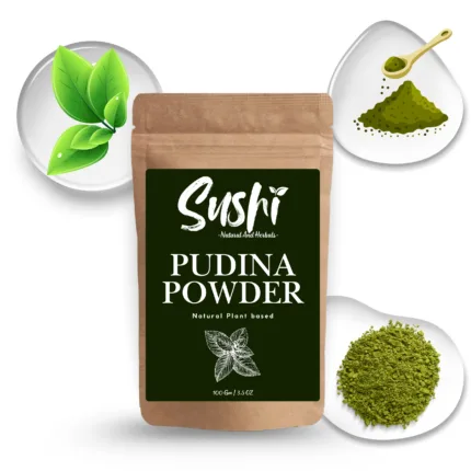 100% Natural Pudina (Mint) Powder by Sushi Industries ; Herbal Cooling Remedy for Skin Irritation & Scalp Care